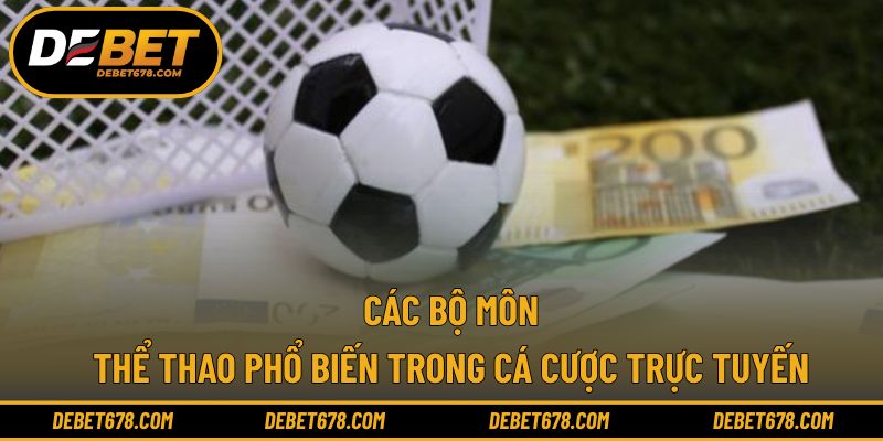 Các bộ môn thể thao phổ biến trong cá cược trực tuyến